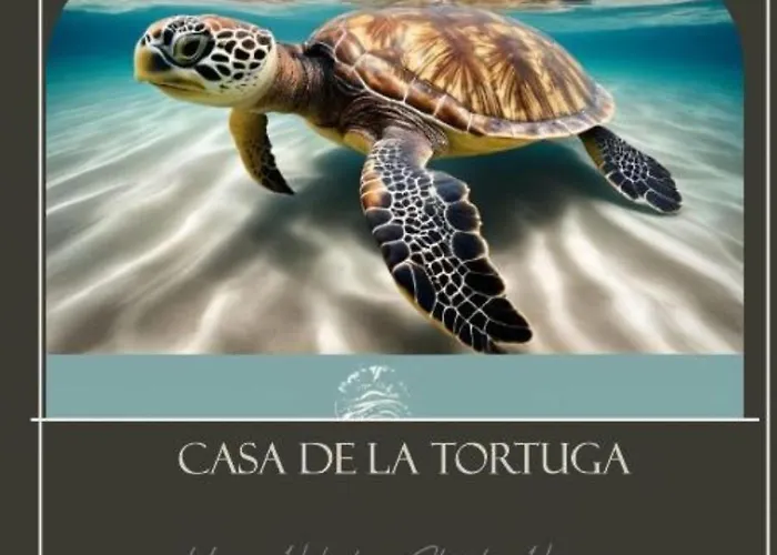 Apartmán Casa De La Tortuga